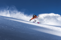 Vortrag mit Nadine Wallner