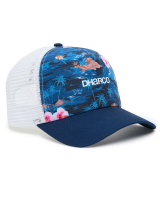 Dharco Curved Peak Trucker | Oasis, ONE SIZE