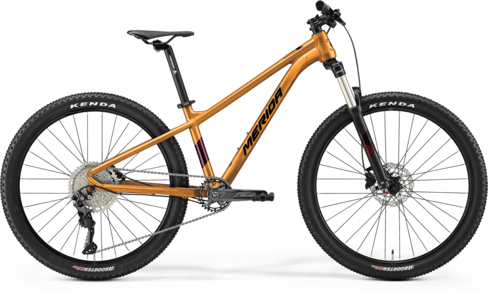 Merida Matts J. Champion